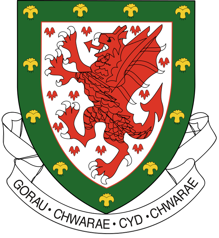 UEFA Wales 0-2010 Primary Logo t shirt iron on transfers